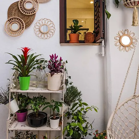 아파트 Il Giardino Di Sole 바리
