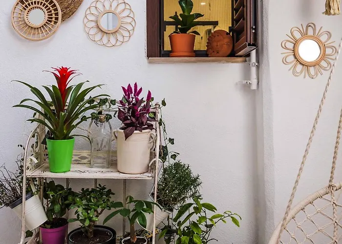 Apartamento Il Giardino Di Sole Bari
